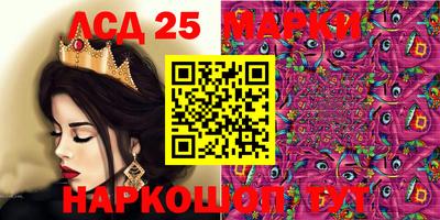 гидропоника Новокубанск