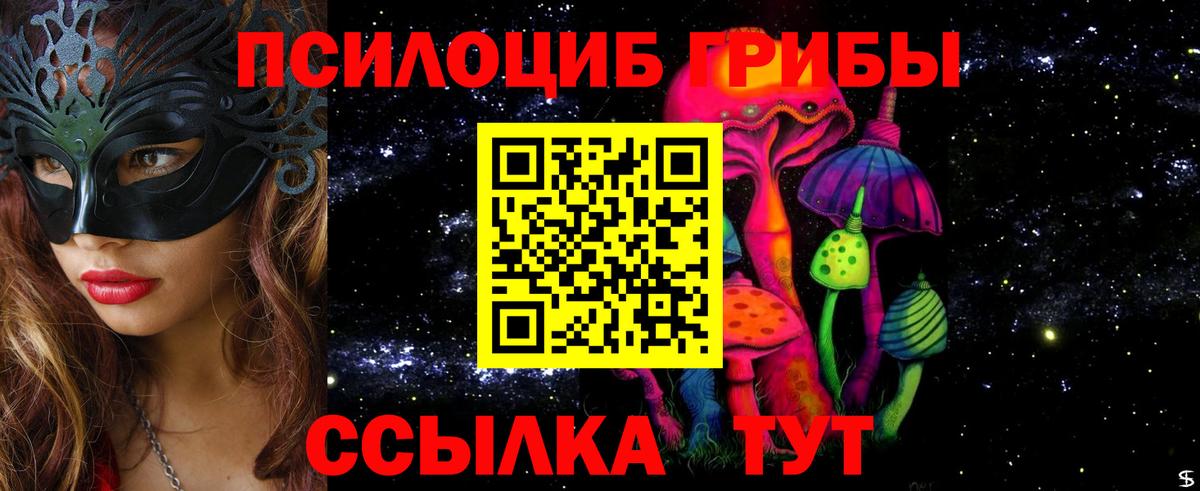 Псилоцибиновые грибы MAGIC MUSHROOMS  Вход с VPN  Тосно 